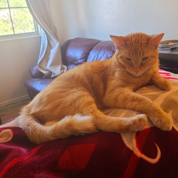 Meet your Posher, Sandra - Picture 1 of 1